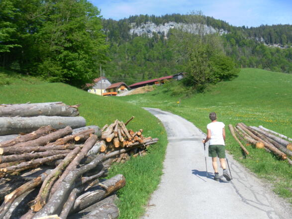 Mühlstein Südostflanke von Loitenstatt/Gimpl