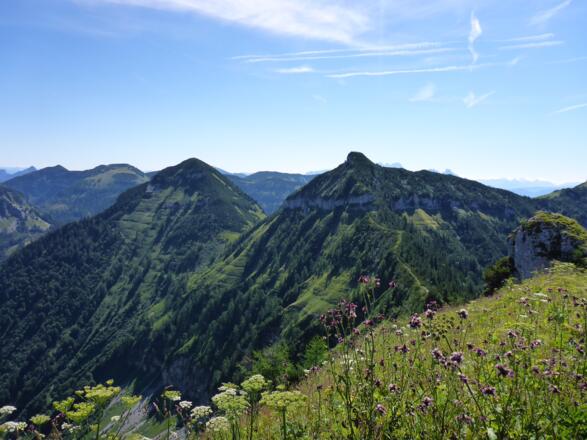 Grat zum Gipfel des Regenspitz