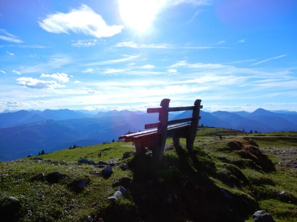 Auf der Schafbergalpe