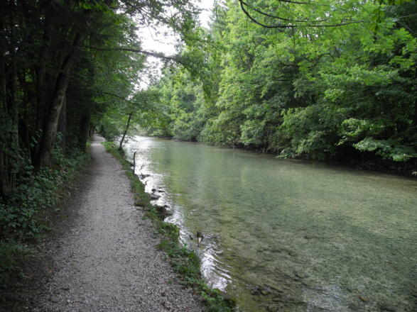 Am letzten Kilometer gehen wir besonders schön direkt am Fluss entlang.