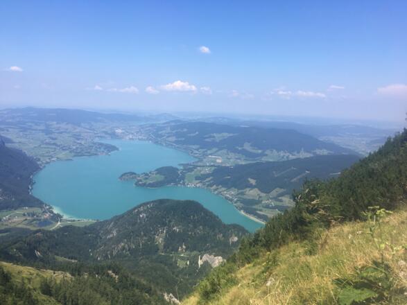 Blick auf den Wolfgangsee