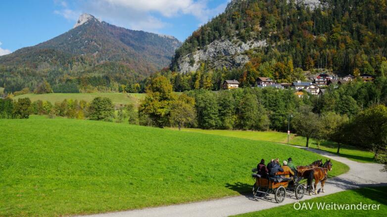 Im Salzkammergut (bei Fuschl am See)