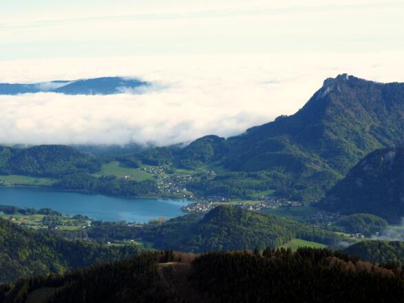 Gipfelblick zum Fuschlsee