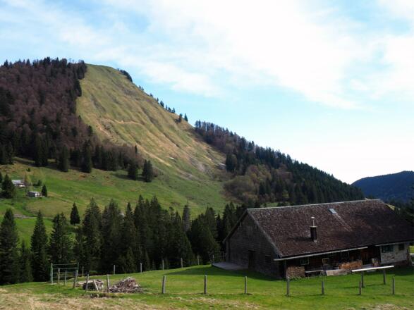Hier wird die Forststraße erreicht (~1280m)
