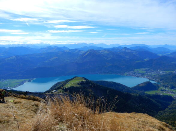 Auf dem Schafberg, Blick über den Wolfgangsee