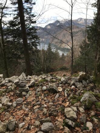 Aussicht auf den Wolfgangsee