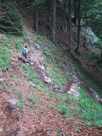 Normalweg aus der Sparberscharte hinab