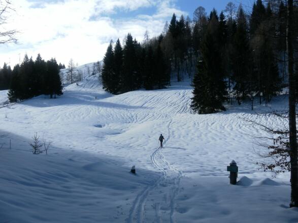 Zustieg zur Breitenbergalm