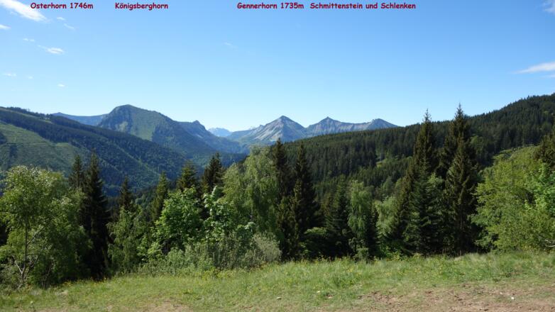 Südblick vom Almgebiet um 1220m