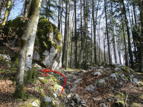 Vor den Blöcken verlassen wir den Wanderweg.