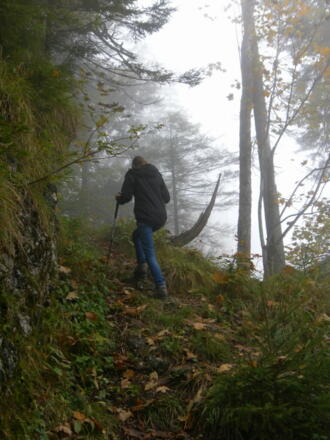 Pfad vom Scharflingpass