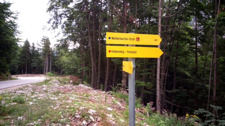 Abstieg von der Postalmstraße über Wanderweg