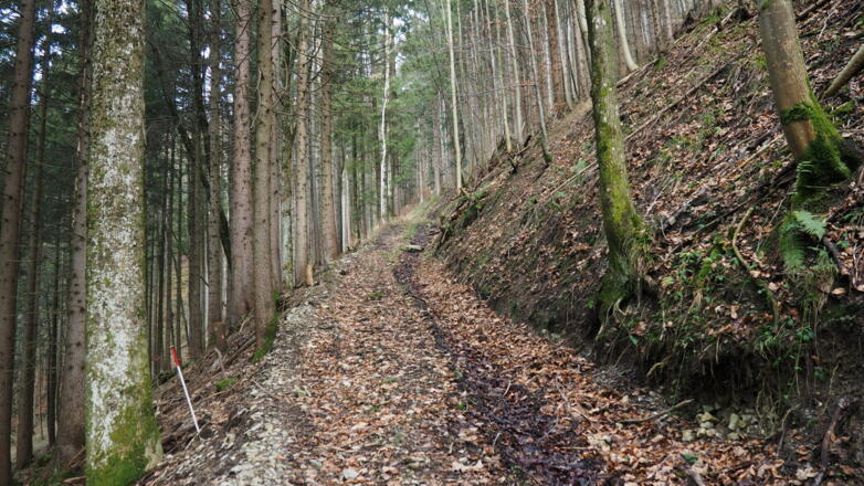 Um 630m dem Ziehweg rechts folgen