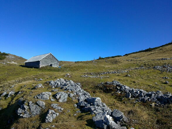 Das Ahornfeld im Herbst