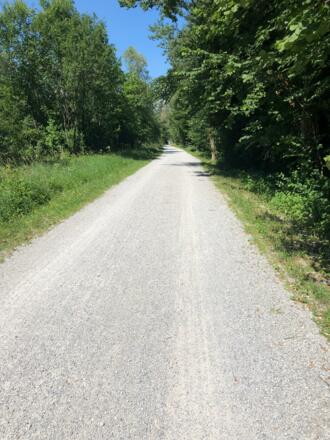 Radweg entlang der Saalach 