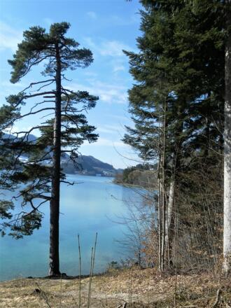 Westblick über Fuschlsee