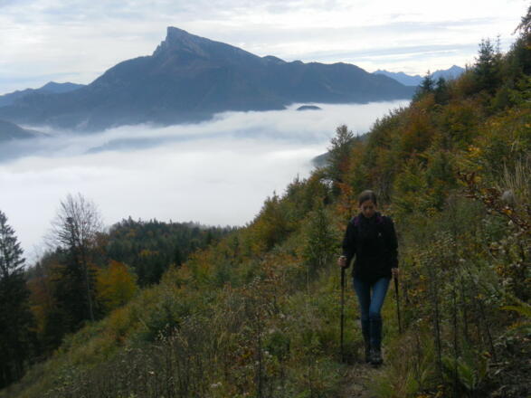 Schafberg aus der Schneise
