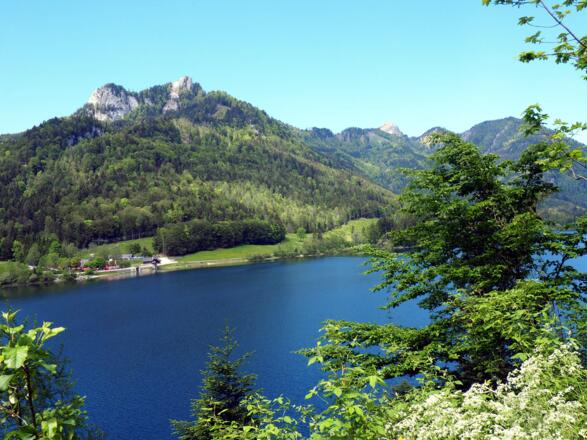 Schwarzensee mit Käferwandl