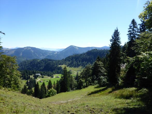 Blick auf die Anzenbergalm