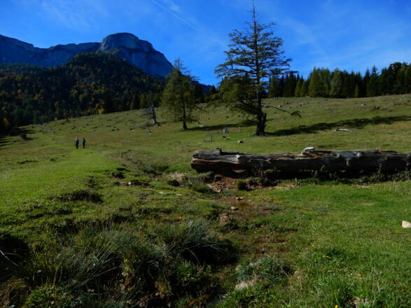 Anstieg zum Schafberg