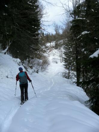 Hohlweg zur Breitenbergalm