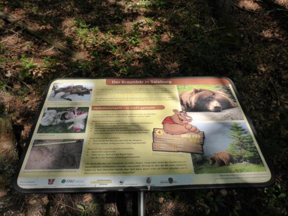 Tafel mit interessanten Info´s über den letzten Bär am Lidaun