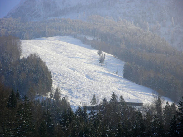 Der Hang der Laimeralm umfasst 350 Höhenmeter.