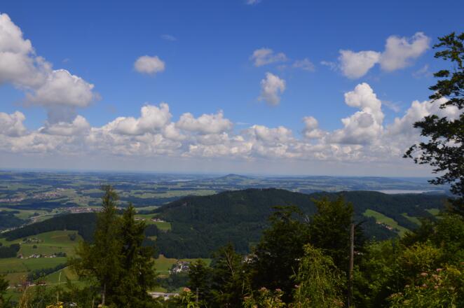Ausblick in das Seenland