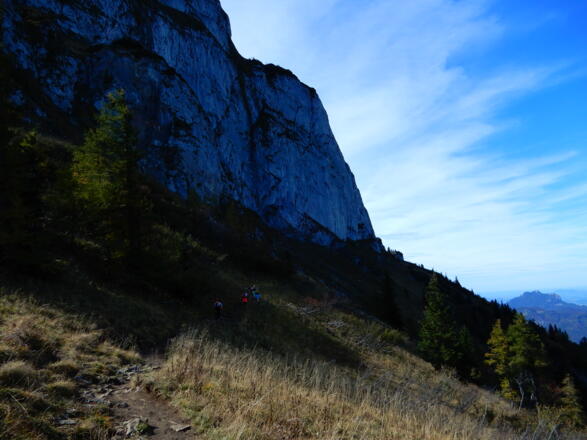 Der Schafberg an seiner Nordseite