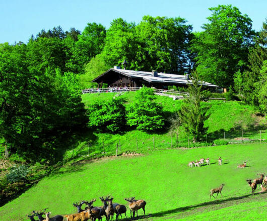 Wolfschwang Wanderung