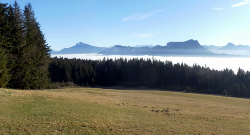 Südblick vom Rastplatz: Schafberg, Dachstein, Schober