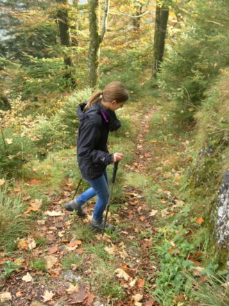 letzter Pfad zur Scharflinghöhe