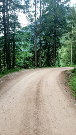 Wanderweg 
