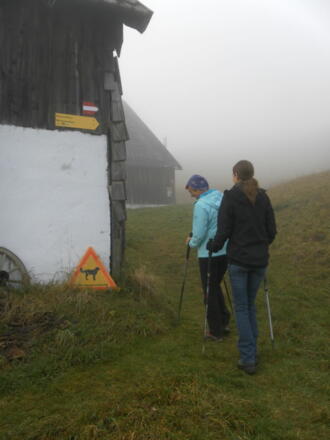 die Warntafel vor dem anlehnungsbedürftigen Hund ist ein netter Einstieg in die kleine Wanderung