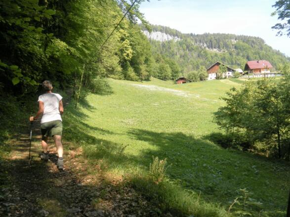 Mühlstein Ostflanke aus dem Waschlgraben