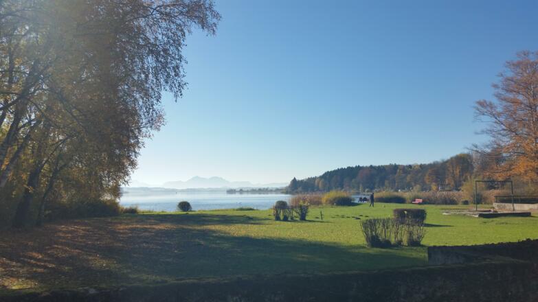Am Wallersee