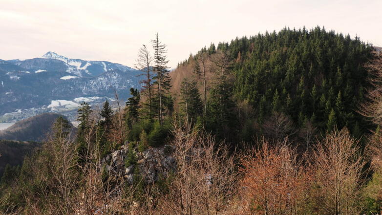 Rückblick zum Kesselkopf 928m
