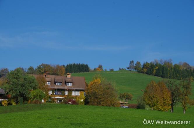 Am Salzburger Mariazellerweg (bei Ybbsitz)