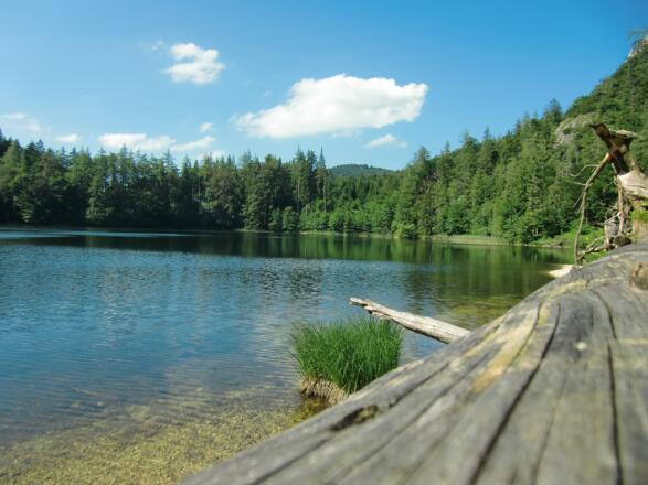 Ein Rast am Seeufer des Eibensee ist Erholung pur