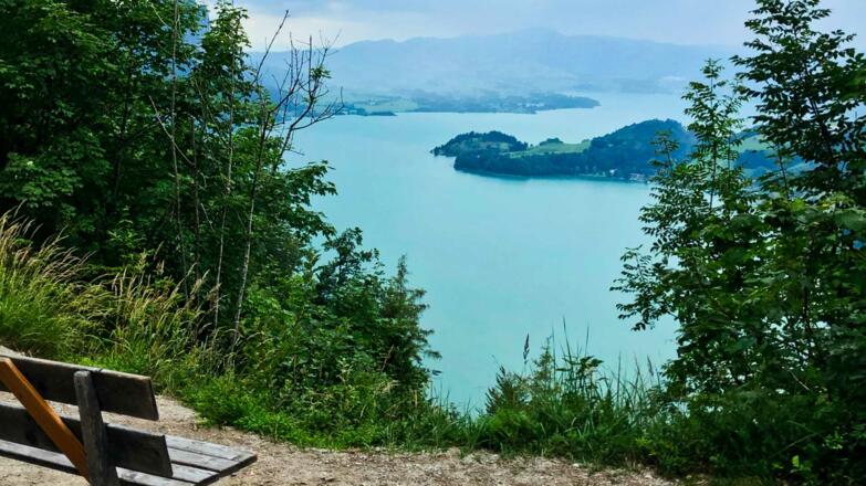 Blick auf den Mondsee