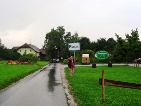 in Pfongau