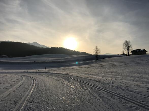 Langlaufen im Sonnenuntergang