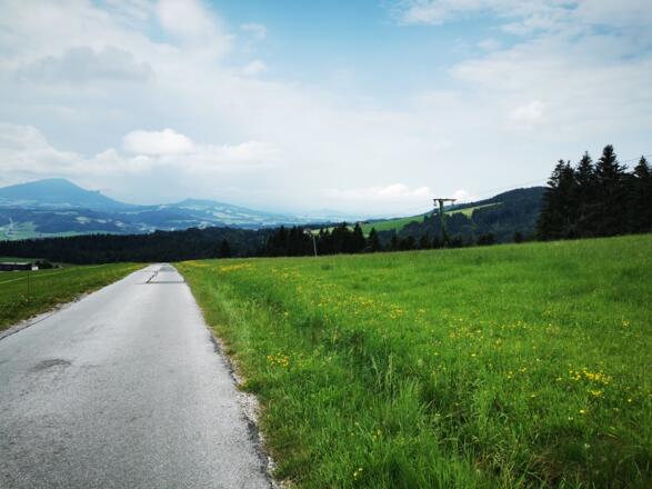 Weg entlang des Skiliftes Thalgau