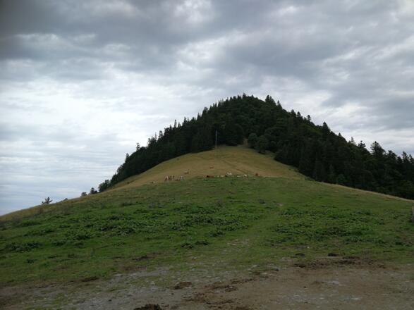 Hinauf auf den Gipfel