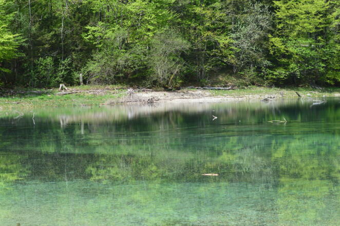 Hintersee Ausblick aufs Wasser