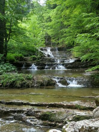 Wasserfall im Wald-Wasser-Zauber