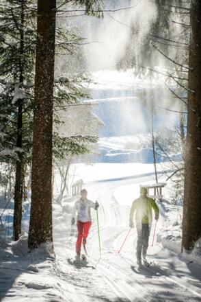 Langlaufen Tiefbrunnau (c) Fuschlseeregion - Erber