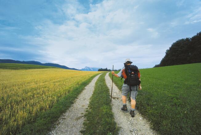 Am Jakobsweg von Eugendorf nach Salzburg