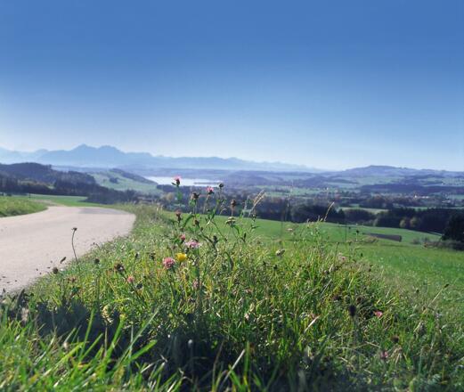 Jakobsweg Blick Richtung Wallersee