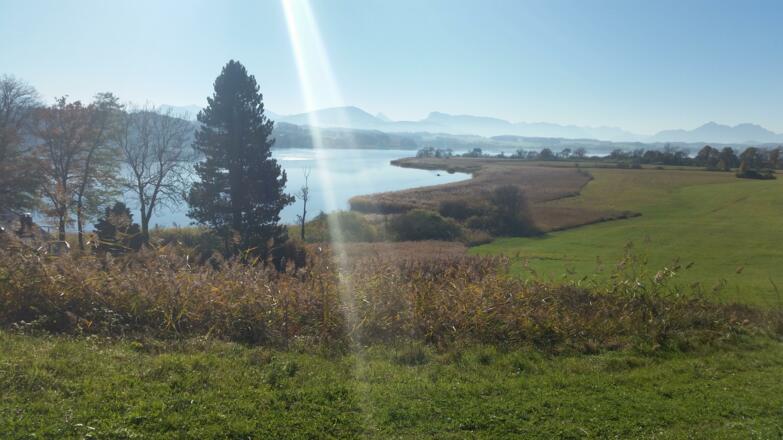 Ausblick auf den Wallersee
